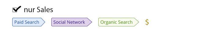 Diagramm der Conversion-Pfade mit Fokus auf Sales, darstellend Paid Search, Social Network und Organic Search.